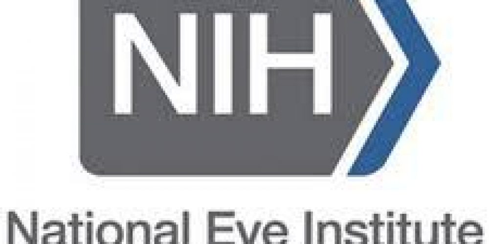 VVRC Faculty awarded 2 of the 5 new NEI U24 Grants