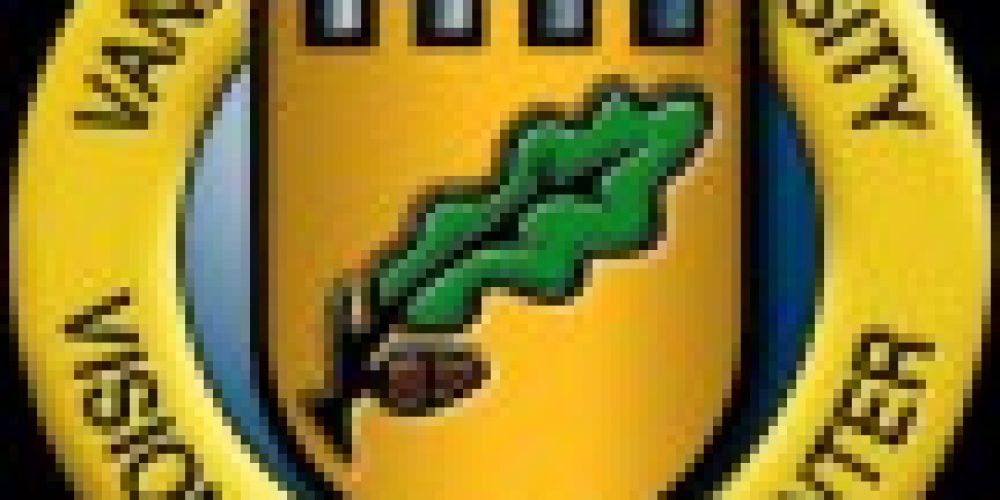 Announcing “VisionFest 2015″